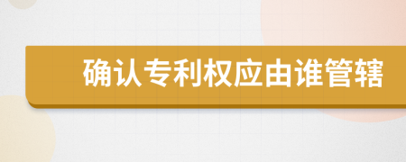 確認(rèn)專利權(quán)應(yīng)由誰(shuí)管轄