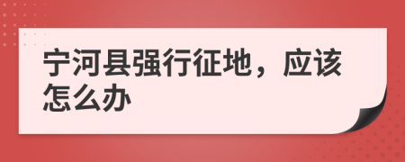 寧河縣強行征地，應(yīng)該怎么辦