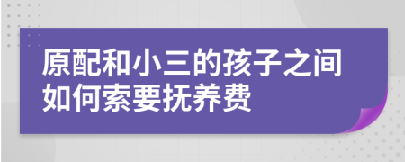 原配和小三的孩子之間如何索要撫養(yǎng)費