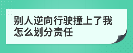 別人逆向行駛撞上了我怎么劃分責(zé)任