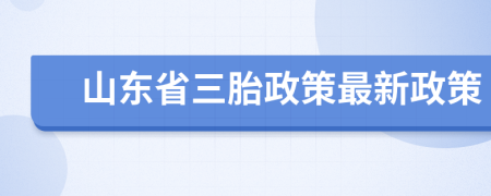 山東省三胎政策最新政策