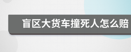盲區(qū)大貨車撞死人怎么賠