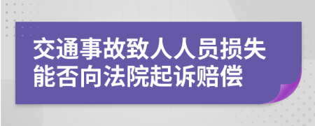交通事故致人人員損失能否向法院起訴賠償