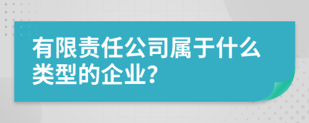 有限責(zé)任公司屬于什么類型的企業(yè)？