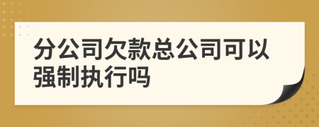 分公司欠款總公司可以強制執(zhí)行嗎