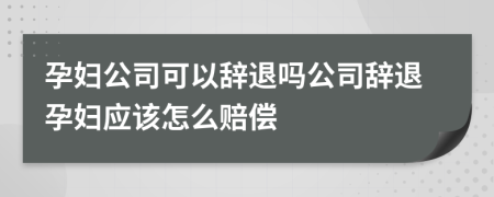 孕婦公司可以辭退嗎公司辭退孕婦應(yīng)該怎么賠償