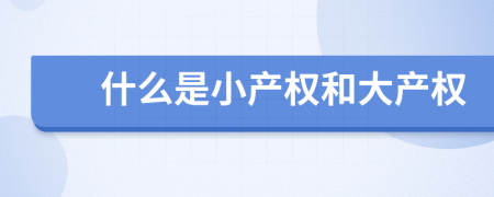 什么是小產(chǎn)權(quán)和大產(chǎn)權(quán)