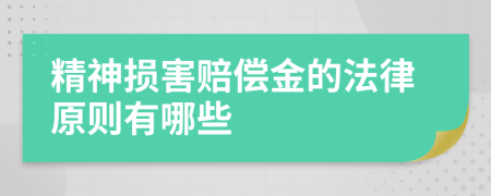 精神損害賠償金的法律原則有哪些