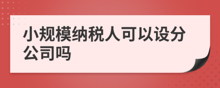 小規(guī)模納稅人可以設分公司嗎