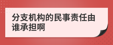 分支機(jī)構(gòu)的民事責(zé)任由誰承擔(dān)啊