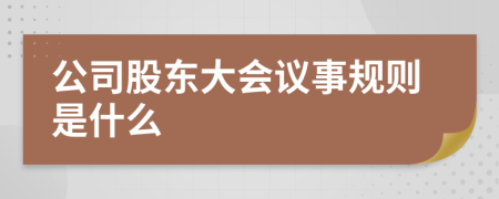 公司股東大會(huì)議事規(guī)則是什么