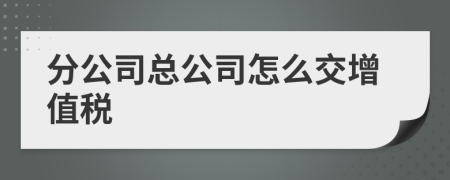 分公司總公司怎么交增值稅
