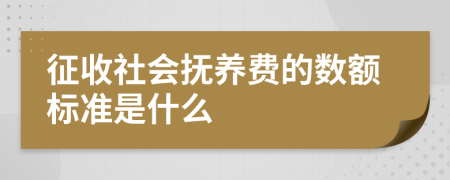 征收社會(huì)撫養(yǎng)費(fèi)的數(shù)額標(biāo)準(zhǔn)是什么