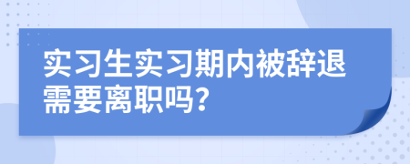 實習(xí)生實習(xí)期內(nèi)被辭退需要離職嗎？