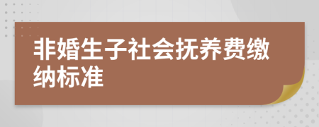 非婚生子社會(huì)撫養(yǎng)費(fèi)繳納標(biāo)準(zhǔn)