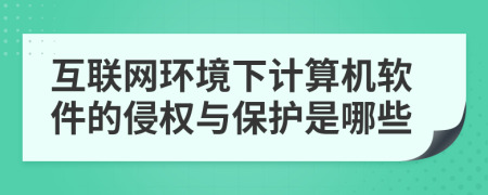 互聯(lián)網(wǎng)環(huán)境下計算機軟件的侵權(quán)與保護是哪些