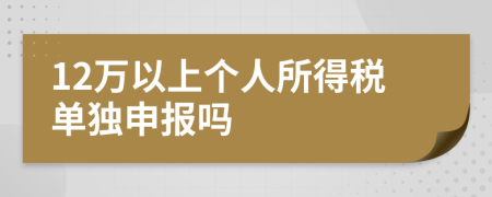 12萬以上個人所得稅單獨申報嗎