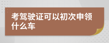 考駕駛證可以初次申領(lǐng)什么車