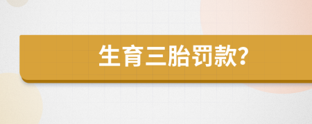 生育三胎罰款？