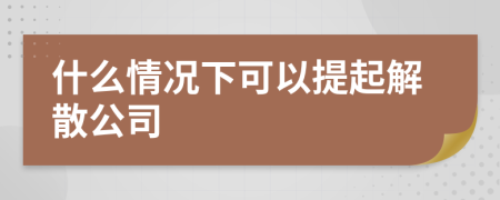 什么情況下可以提起解散公司