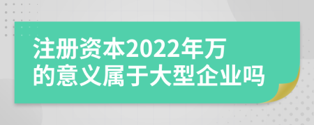 注冊資本2022年萬的意義屬于大型企業(yè)嗎