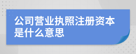 公司營業(yè)執(zhí)照注冊資本是什么意思