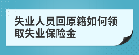 失業(yè)人員回原籍如何領(lǐng)取失業(yè)保險金