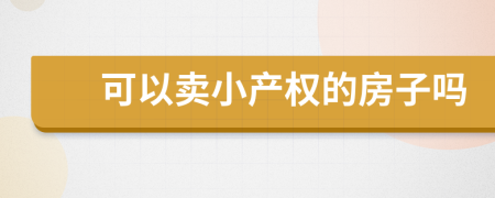 可以賣小產(chǎn)權(quán)的房子嗎