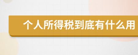 個人所得稅到底有什么用