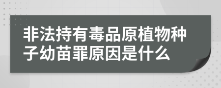 非法持有毒品原植物種子幼苗罪原因是什么