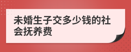 未婚生子交多少錢的社會撫養(yǎng)費