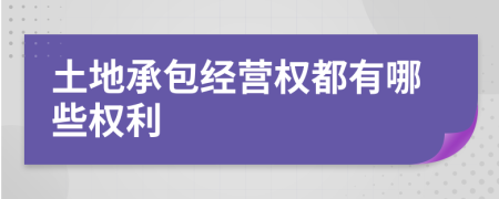 土地承包經(jīng)營(yíng)權(quán)都有哪些權(quán)利