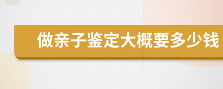 做親子鑒定大概要多少錢