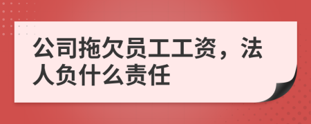 公司拖欠員工工資，法人負(fù)什么責(zé)任