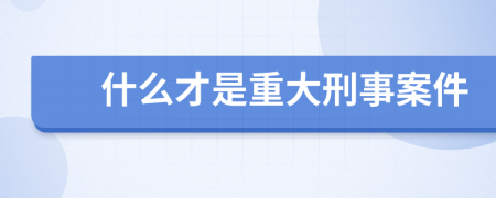 什么才是重大刑事案件