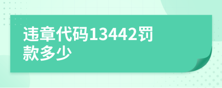 違章代碼13442罰款多少