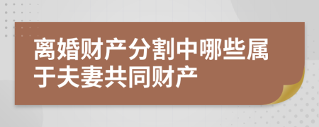 離婚財(cái)產(chǎn)分割中哪些屬于夫妻共同財(cái)產(chǎn)