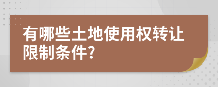 有哪些土地使用權(quán)轉(zhuǎn)讓限制條件?