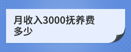 月收入3000撫養(yǎng)費(fèi)多少