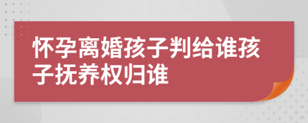 懷孕離婚孩子判給誰孩子撫養(yǎng)權(quán)歸誰