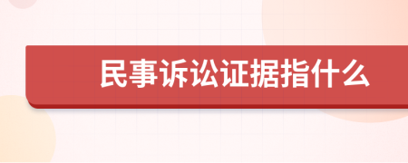 民事訴訟證據(jù)指什么