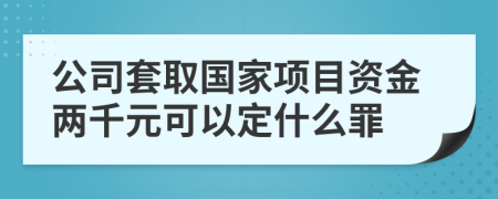 公司套取國(guó)家項(xiàng)目資金兩千元可以定什么罪