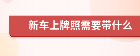 新車上牌照需要帶什么