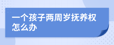 一個(gè)孩子兩周歲撫養(yǎng)權(quán)怎么辦