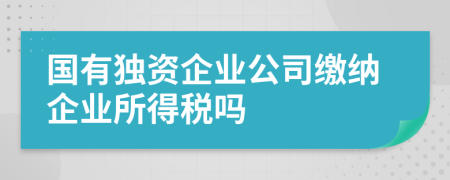 國有獨(dú)資企業(yè)公司繳納企業(yè)所得稅嗎