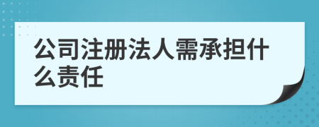 公司注冊法人需承擔(dān)什么責(zé)任