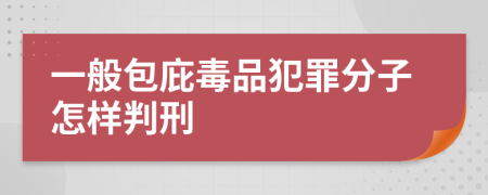 一般包庇毒品犯罪分子怎樣判刑