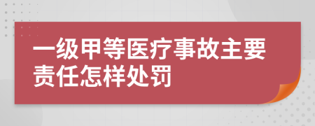 一級(jí)甲等醫(yī)療事故主要責(zé)任怎樣處罰