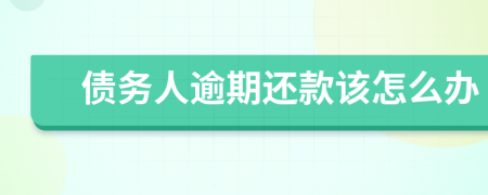 債務(wù)人逾期還款該怎么辦