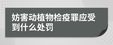 妨害動植物檢疫罪應受到什么處罰